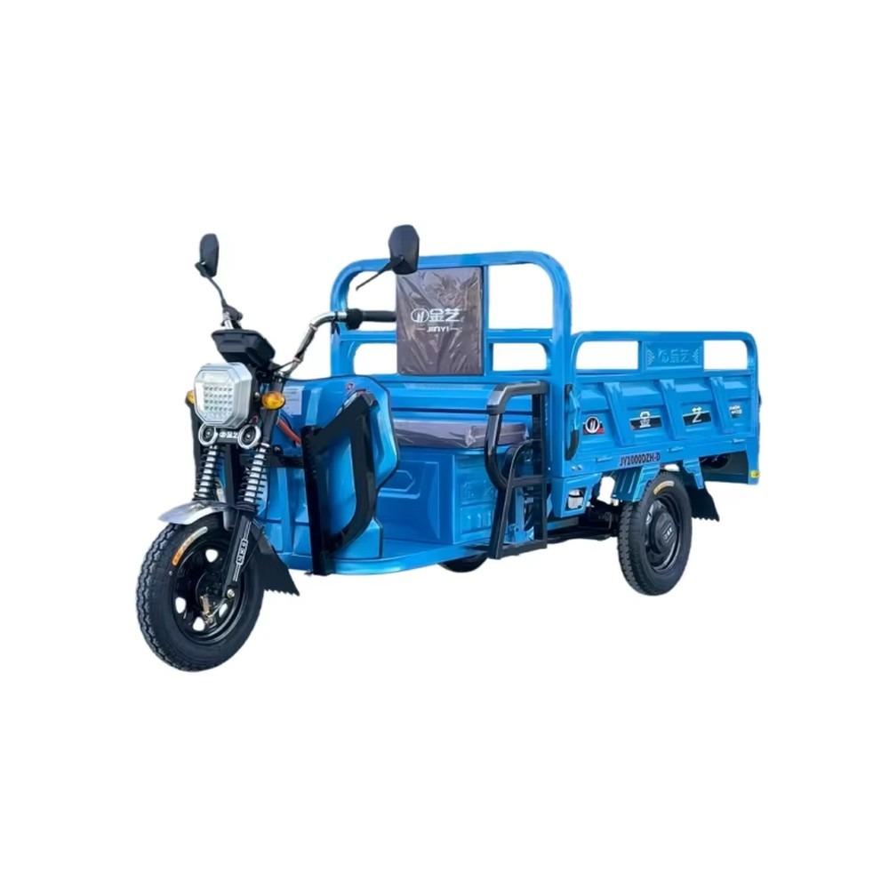Power Tools Logistics - Triciclo Elettrico da Carico con Motore