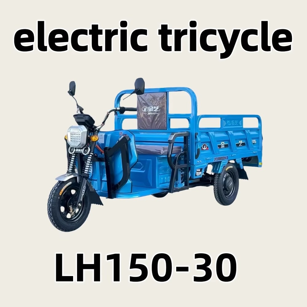 Triciclo Elettrico da Carico c - Power Tools Logistics recensione e prezzo