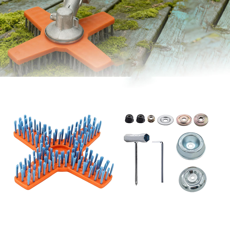 Set Completo di Spazzole per P - Power Tools Orange recensione e prezzo